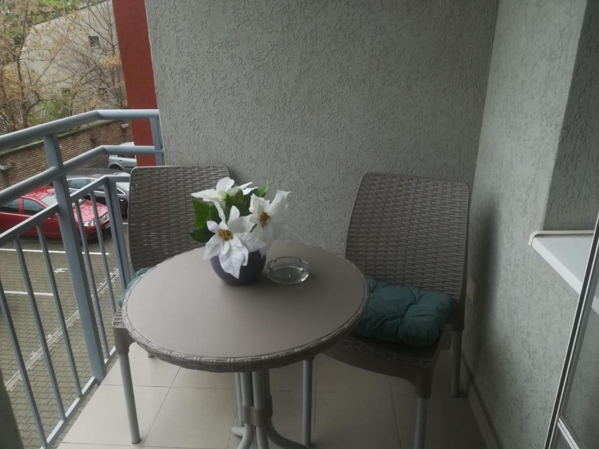 Paris Apartment -Free Private Parking Újvidék Kültér fotó